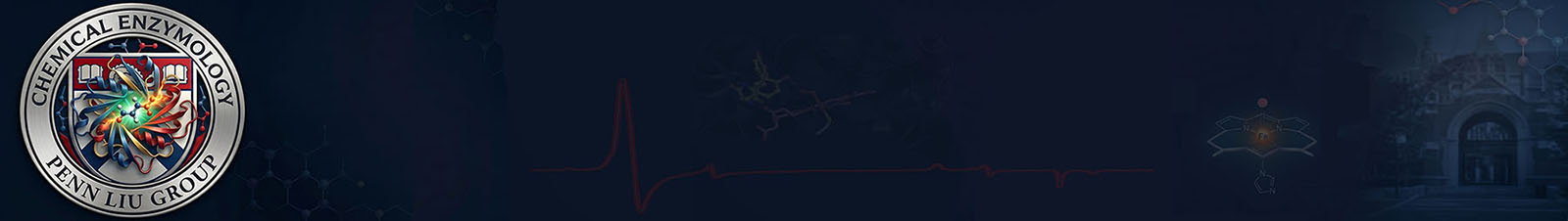 Liu Group Banner